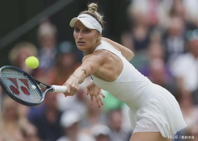 退化的迹象 退化的迹象