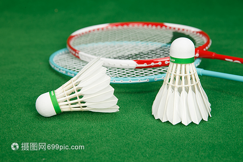 洛伊的奔跑 洛伊的奔跑